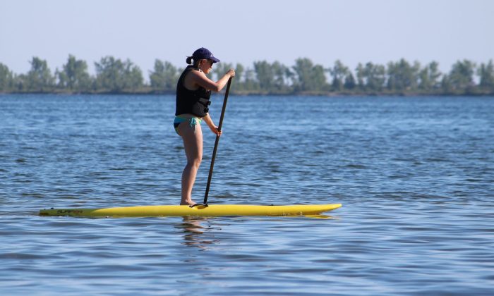 Paddleboard