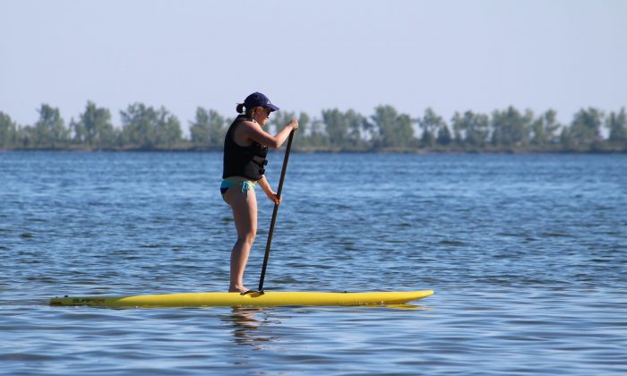 Paddleboard