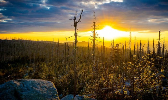 Šumava a západ slunce