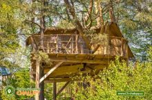 Treehouse Stvořidla - Leštinka - Glamping