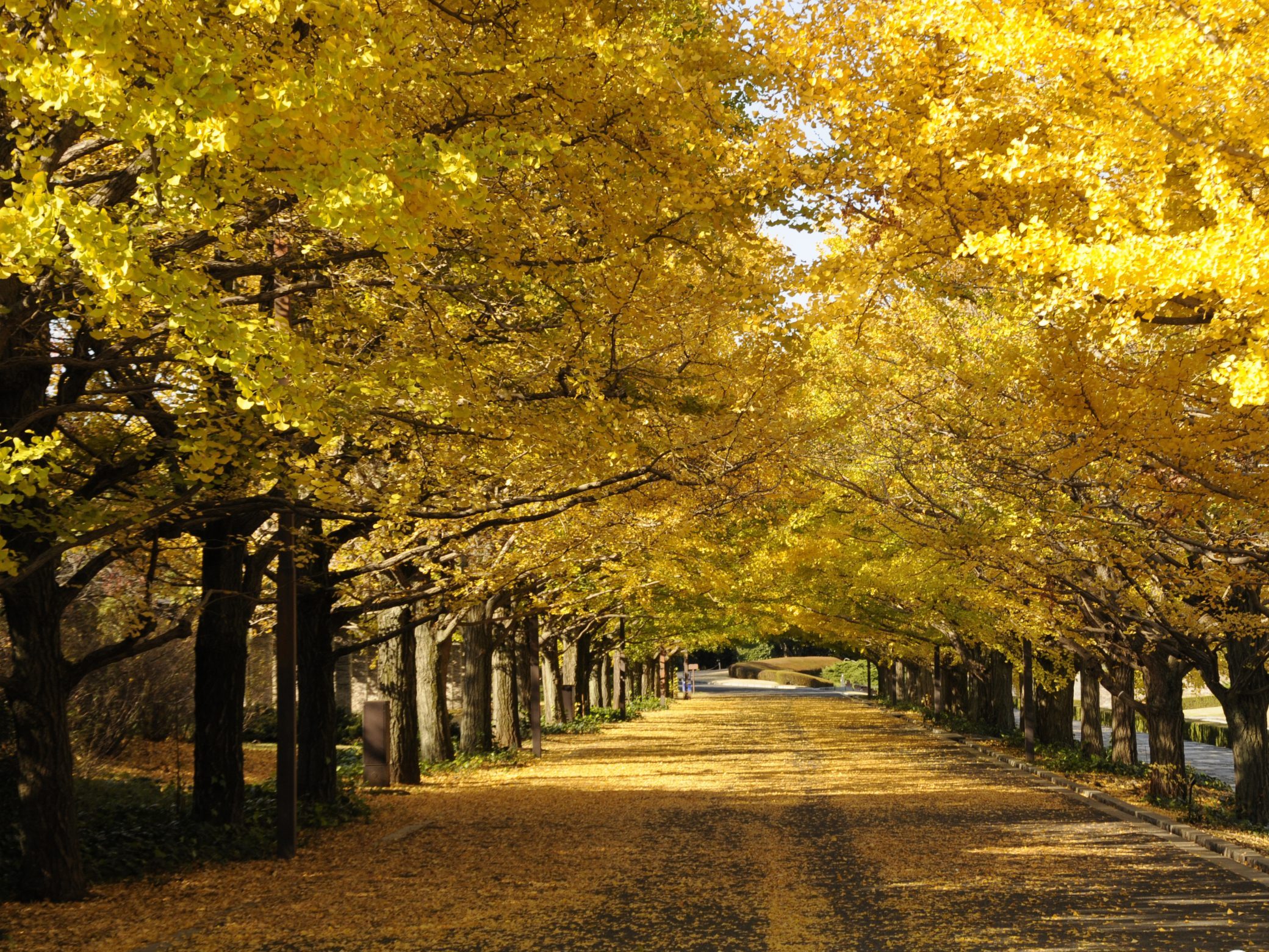 Národní park Japonsko