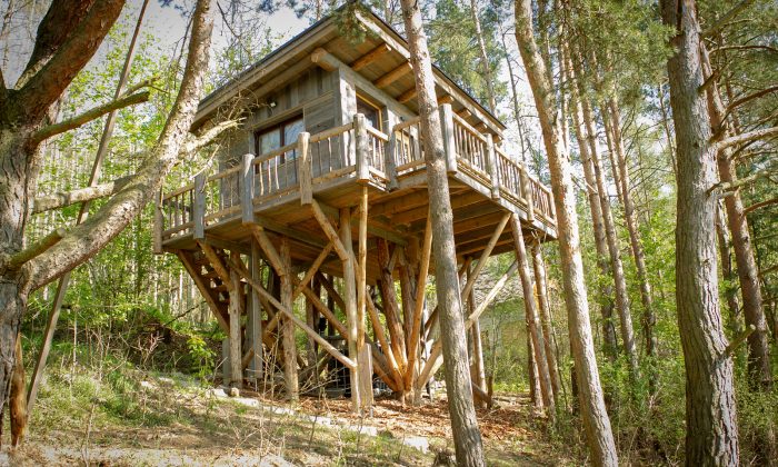 Foto: treehouse-sokoli.cz