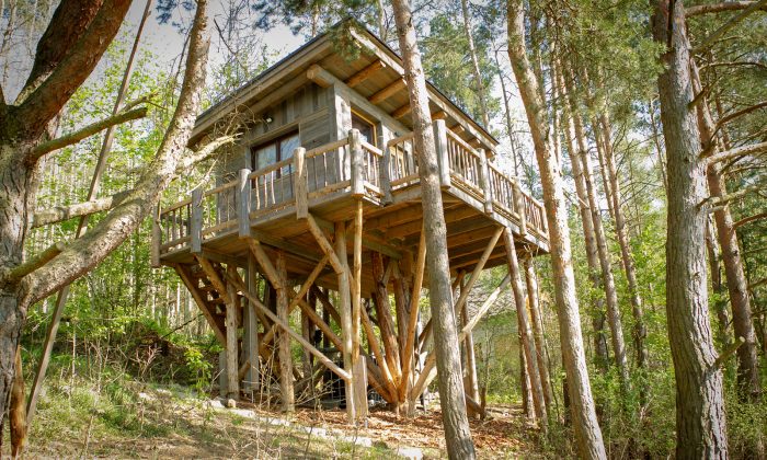Foto: treehouse-sokoli.cz