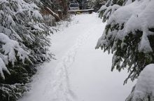 Chata Zuzanka - Tatranská Štrba - Štrbské Pleso