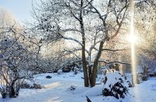 Glamping Mileč - CHATA se saunou - Nepomuk