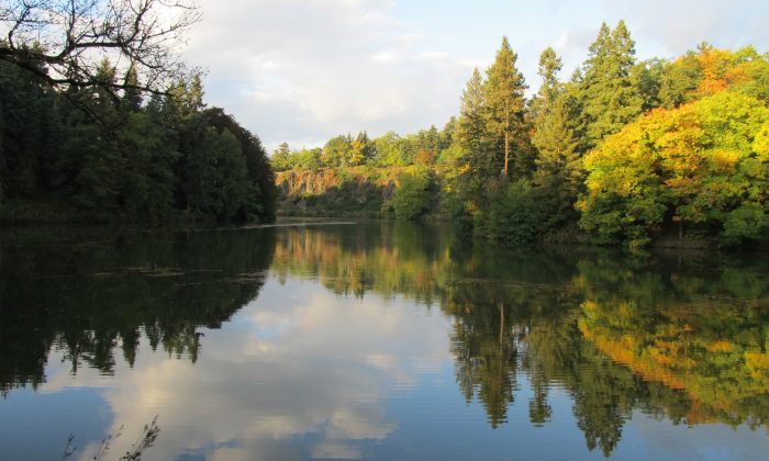 Průhonický park