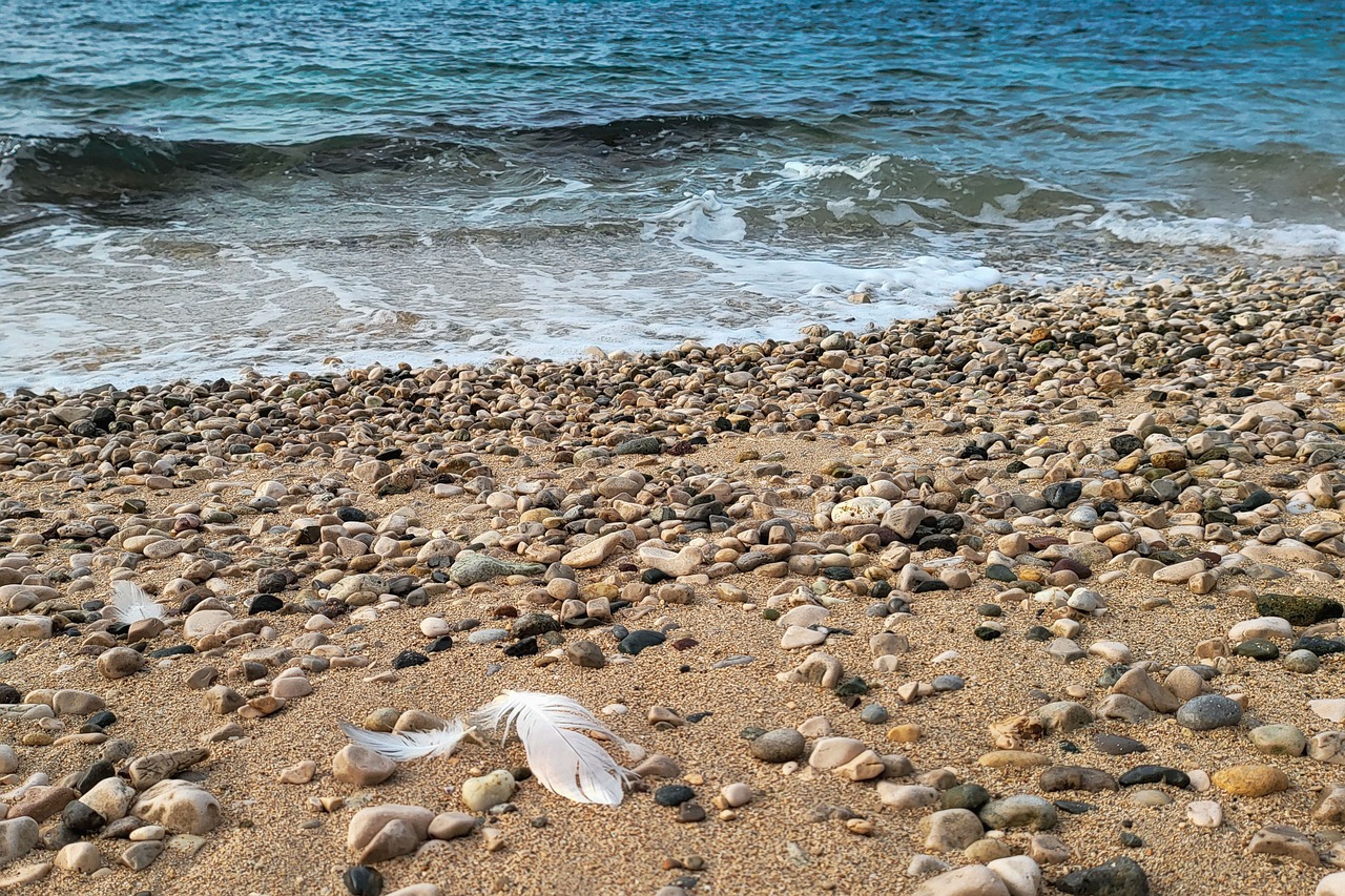 Na chorvatském Visu dříve sídlila šlechta – dnes ho turisté teprve pomalu objevují. Co se vám vybaví, když se řekne Chorvatsko? Jsou to římské památky nebo luxusní vily, ve kterých dřív přebývala honorace? Pokud ne, pak jste ještě nejspíš nenavštívili ostrov Vis. Čeká tu toho na vás opravdu hodně – Gradina, římské divadlo, agora, poloostrov Prirovo, Archeologická sbírka Issa i renesanční památky.