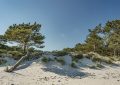 Duny u Baltského moře