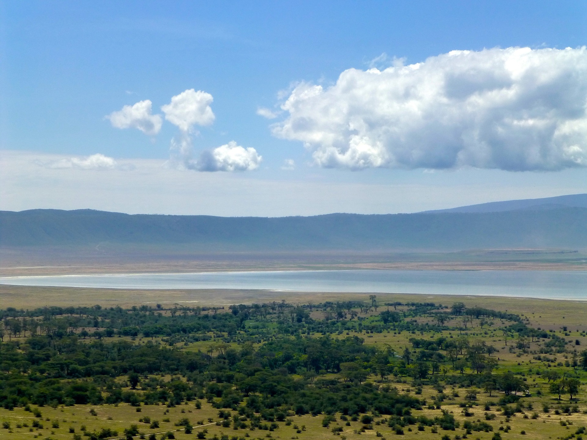 Ngorongoro