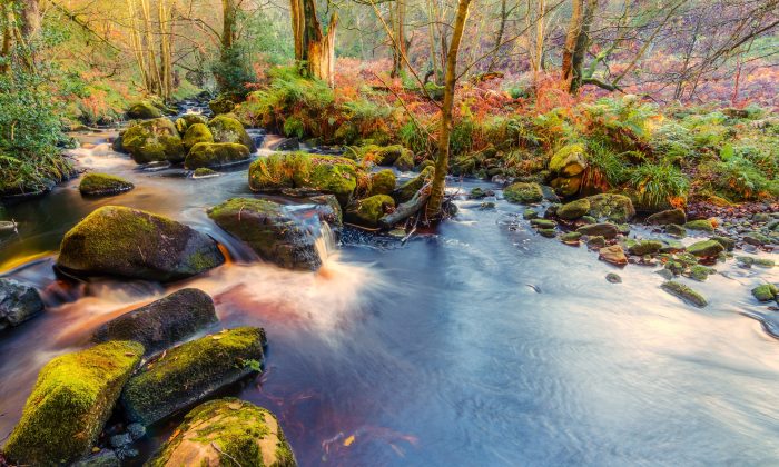 Wharfe