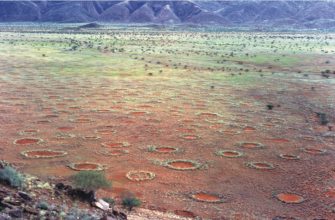 Fairy_circles_namibia