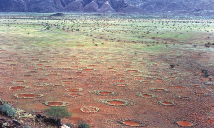 Fairy_circles_namibia