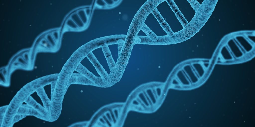 Trvalo to 12 let: Genetici konečně odhalili záhadu, proč na chromozomu X téměř chybí neandertálská DNA. Dvanáct let genetici předpokládali, že za nepřítomností neandertálské DNA na lidském chromozomu X stojí neúprosný přirozený výběr.