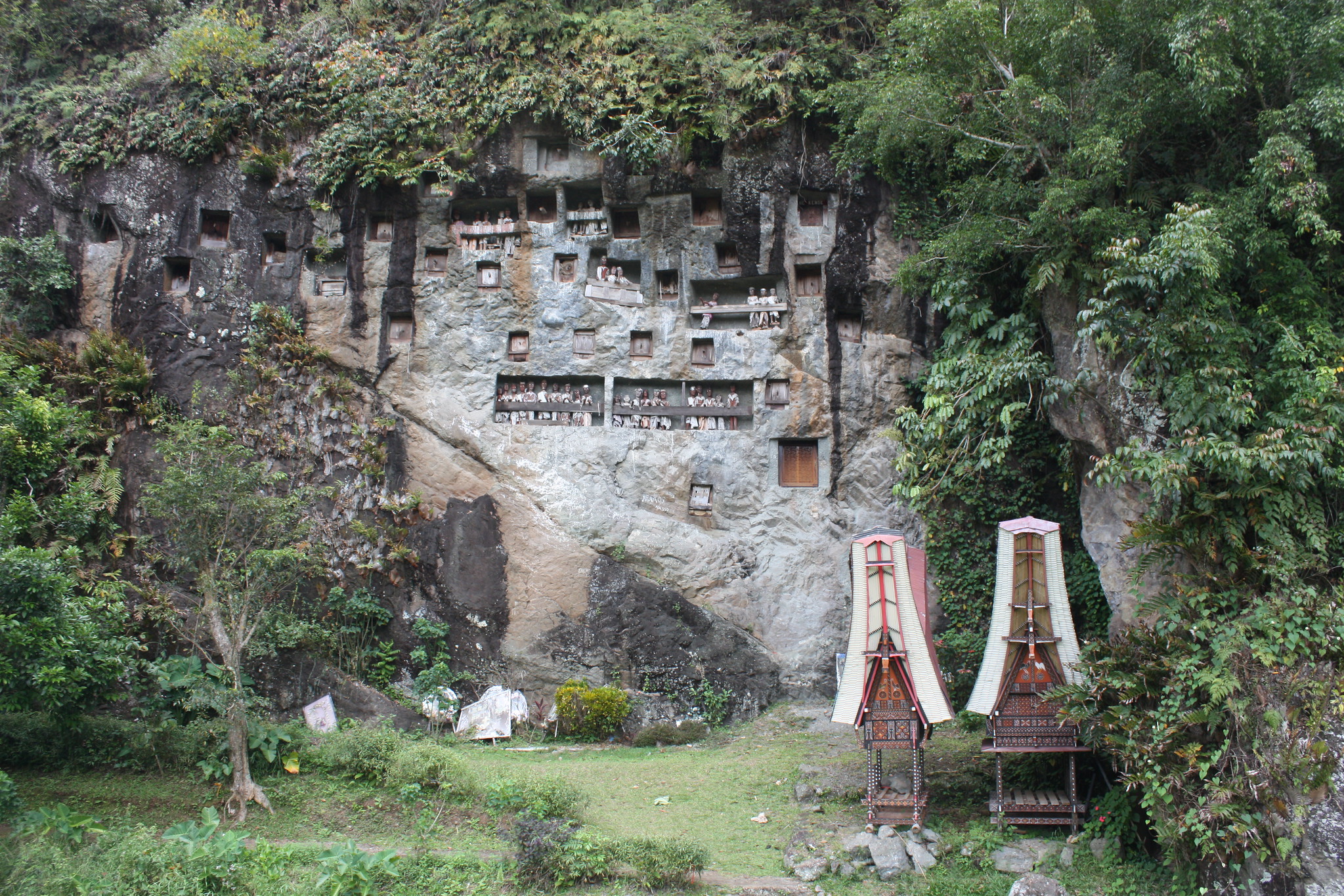 Tara Toraja 2