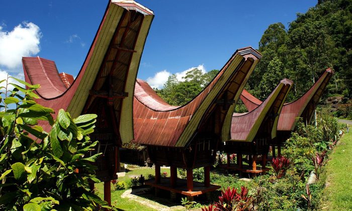 Tara Toraja