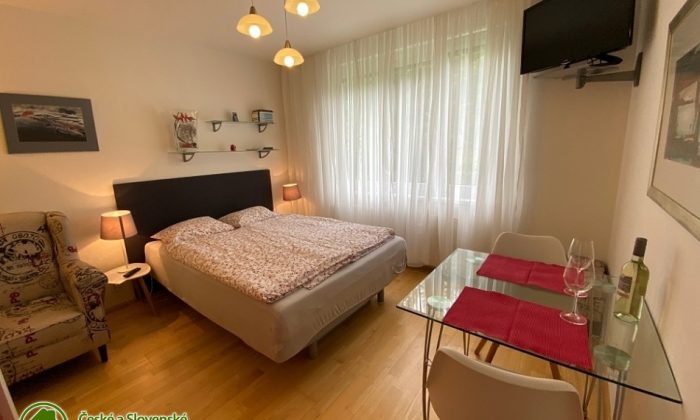 Apartmán Srní 119 - ubytování u lesa - Šumava