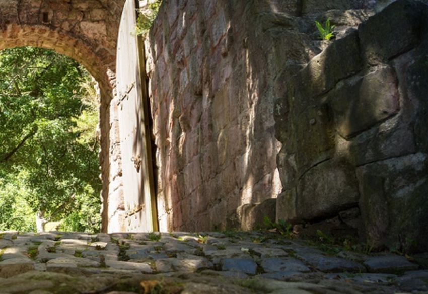 Co navštívit v Čechách, Zajímavosti středních Čech, Zříceniny v Čechách, Kam na výlet v Čechách, Tipy na výlet v Čechách