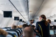 letuška, šok reakce, alergie, hmyz letecká stevardka, VIP let, soukromé letadlo, skandál, smlouva o mlčenlivosti