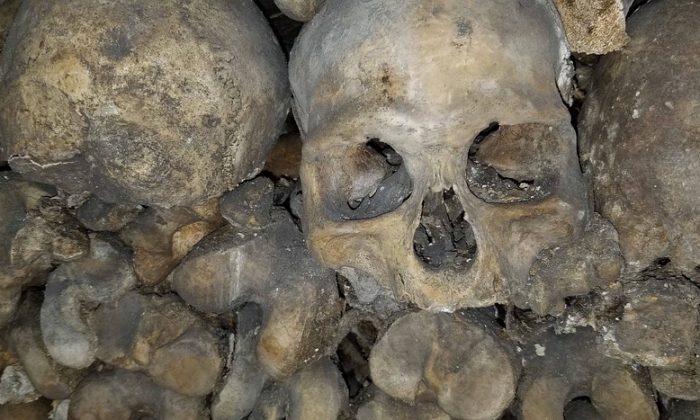 Hrobky v libereckém parku, Archeologický objev, Významné osobnosti 19. století, Zanedbané historické hrobové místo, Zachování kulturního dědictví, hřbitov, hrobka