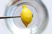 Citron v myčce, citron, myčka, trik, úklid