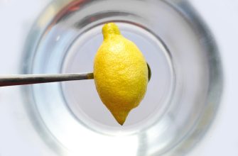 Citron v myčce, citron, myčka, trik, úklid