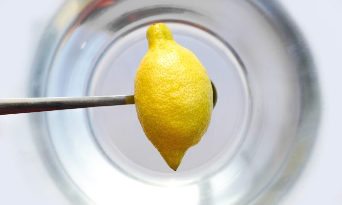 Citron v myčce, citron, myčka, trik, úklid