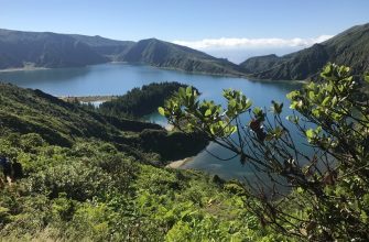 Madeira Madeira, subtropické klima, dramatické přistání, levády, cenová dostupnost