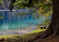 Neziderské jezero, Rakousko, dovolená, jezero, moře