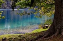 Neziderské jezero, Rakousko, dovolená, jezero, moře