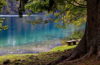 Neziderské jezero, Rakousko, dovolená, jezero, moře