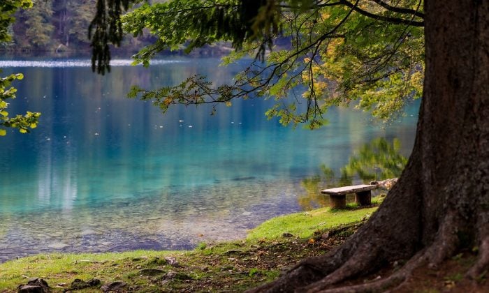 Neziderské jezero, Rakousko, dovolená, jezero, moře