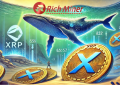 RichMiner1