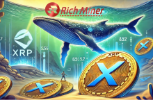 RichMiner1