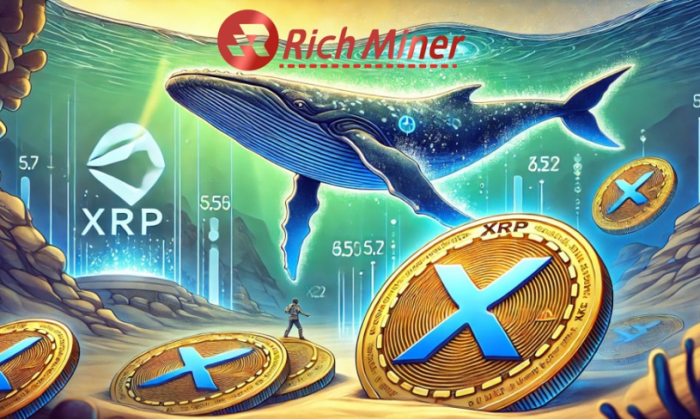 RichMiner1