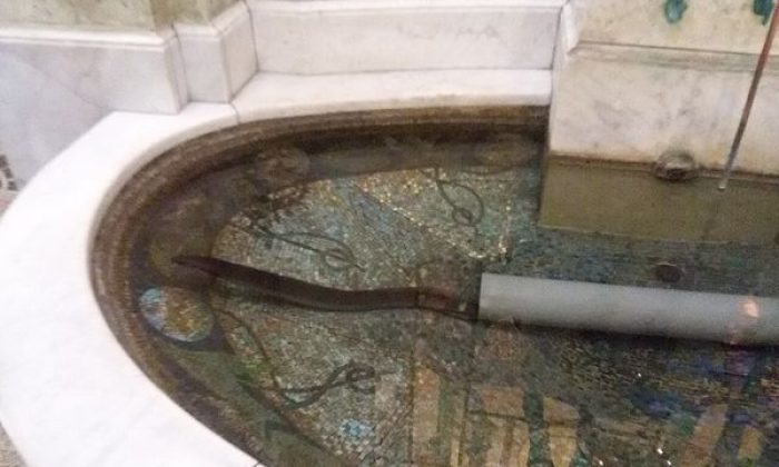 Do téhle pražské pojišťovny doporučujeme