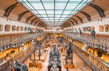 Harry Potter, dinosaurus, zajímavost, pravěk, Rowlingová
