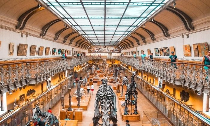 Harry Potter, dinosaurus, zajímavost, pravěk, Rowlingová