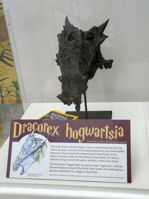 Fenomén Harry Potter pořád boduje