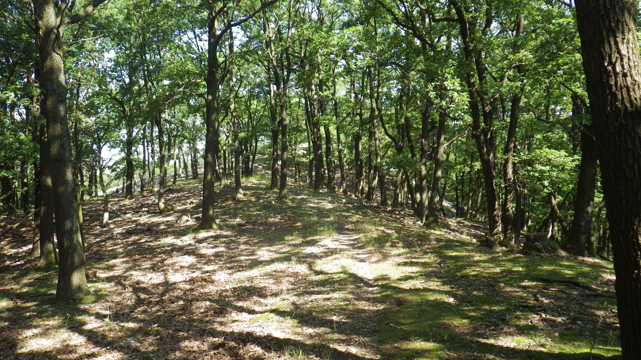 pohoří Tribeč