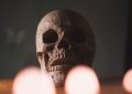 Lebky, podlouhlé lebky, Jižní Amerika, archeologie, nález
