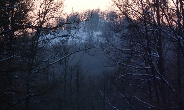 Tribeč