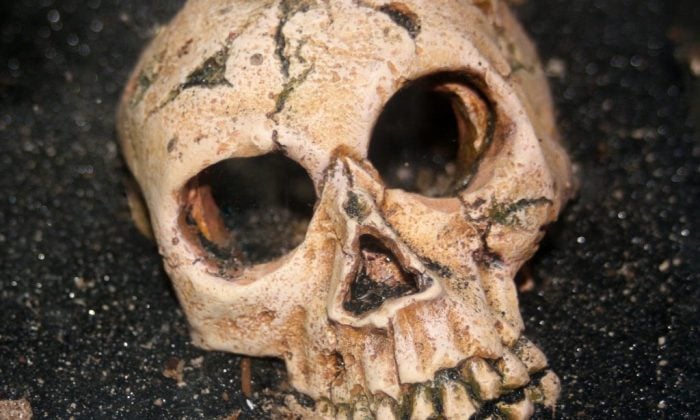 žárový pohřeb, Kharaneh IV, archeologický objev, Střední východ, lovci a sběrači, pohřbívání mrtvých, spálená chýše, prehistorie, kultura před neolitem, antropologie, historie pohřbívání