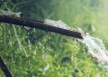 hygiena, sprchování, vynechání sprchy, bakterie na kůži, podráždění pokožky, svědění, kožní záněty, akné, zápach těla, rovnováha mikrobiomu
