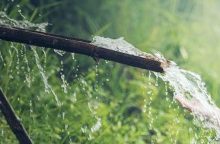 hygiena, sprchování, vynechání sprchy, bakterie na kůži, podráždění pokožky, svědění, kožní záněty, akné, zápach těla, rovnováha mikrobiomu