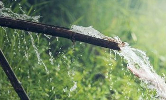 hygiena, sprchování, vynechání sprchy, bakterie na kůži, podráždění pokožky, svědění, kožní záněty, akné, zápach těla, rovnováha mikrobiomu