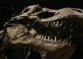 Dinosaurus