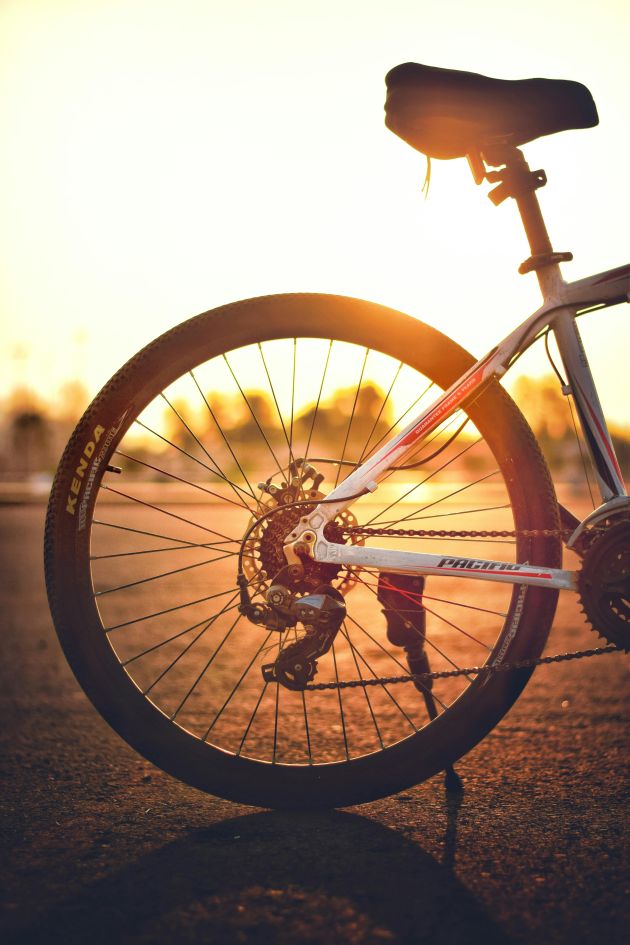 Přelomový rozsudek: Cyklista na přechodu