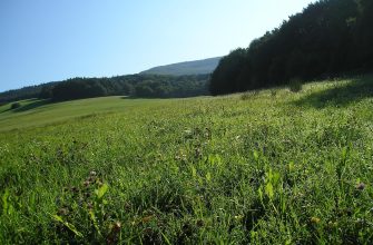 Bílé Karpaty, biosférická rezervace, orchideje, Žítkovské bohyně, Kuželov
