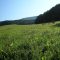 Bílé Karpaty, biosférická rezervace, orchideje, Žítkovské bohyně, Kuželov