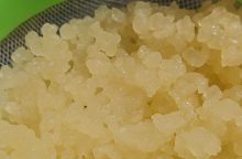 tibi krystaly, probiotika, trávení, imunita, fermentace